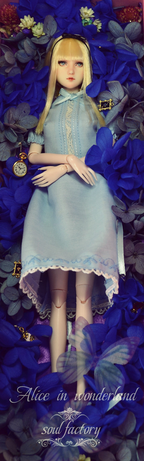 【展示のみ】手描きオビツドールフェイスアップ|エースアリス