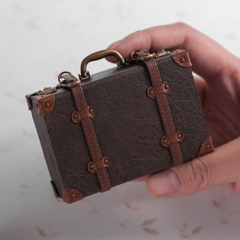 1/6 scale dollhouse blythe miniature sceneBJD black walnut brass glass display case